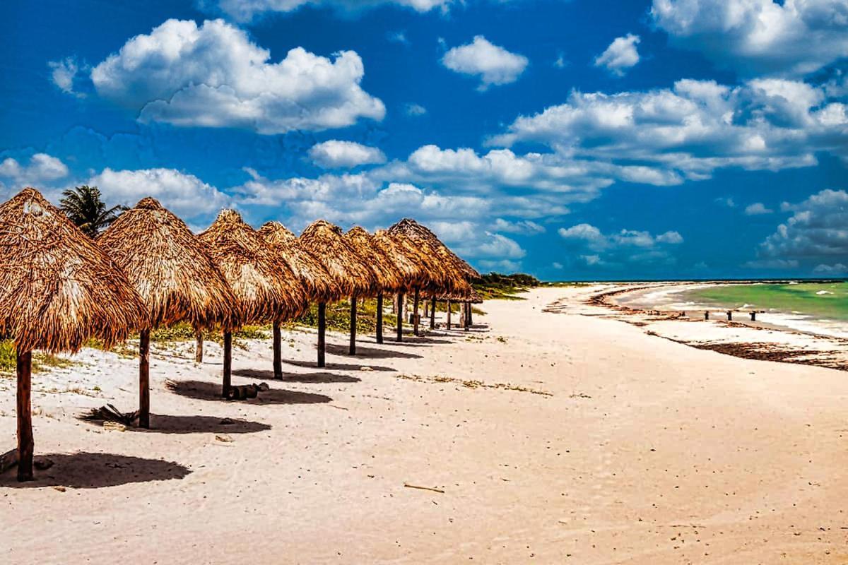 Hacienda Antigua Villa, 50M From Sandy Beach Эль-Куйо Экстерьер фото